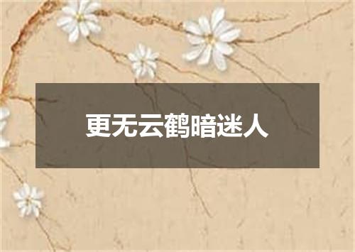 更无云鹤暗迷人