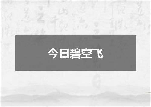 今日碧空飞