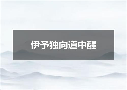 伊予独向道中醒