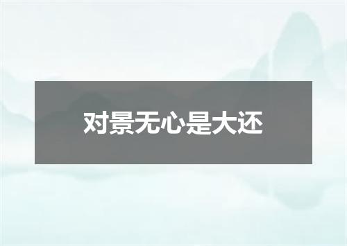 对景无心是大还