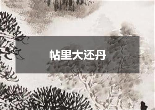 帖里大还丹