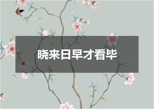晓来日早才看毕