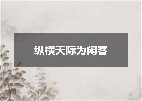 纵横天际为闲客
