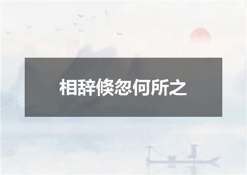 相辞倏忽何所之