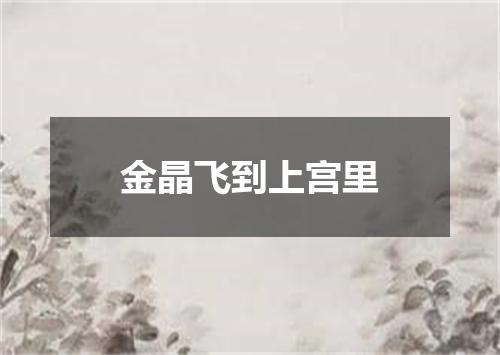 金晶飞到上宫里