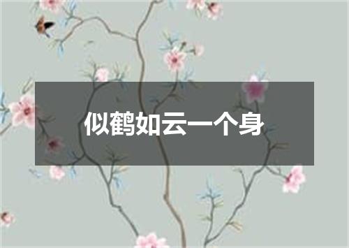 似鹤如云一个身