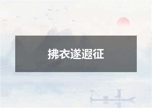 拂衣遂遐征