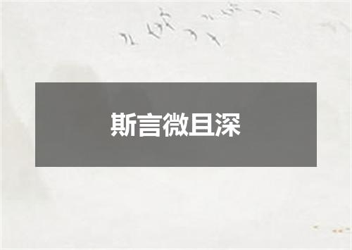斯言微且深