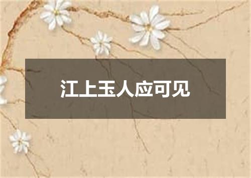 江上玉人应可见