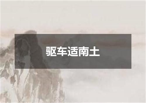 驱车适南土