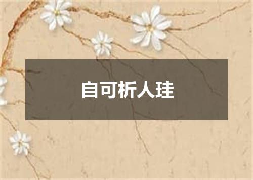 自可析人珪