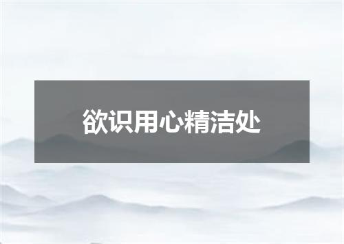 欲识用心精洁处