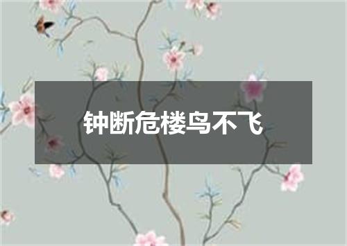 钟断危楼鸟不飞