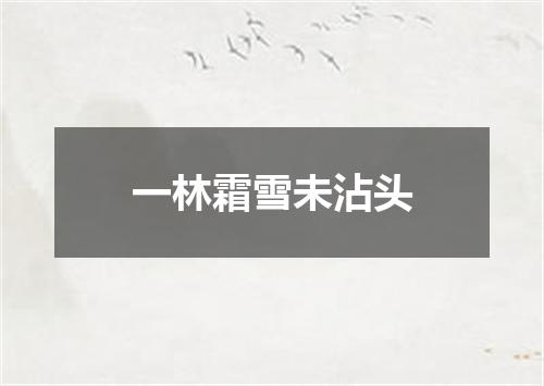 一林霜雪未沾头