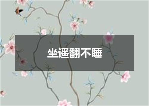 坐遥翻不睡