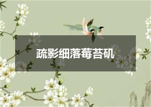 疏影细落莓苔矶