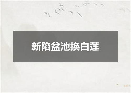 新陷盆池换白莲