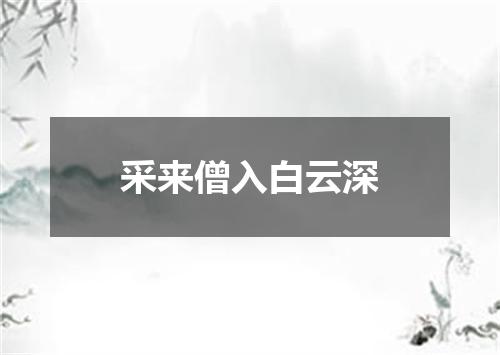 采来僧入白云深