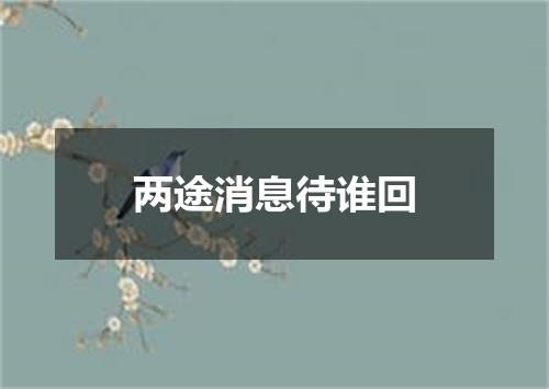 两途消息待谁回
