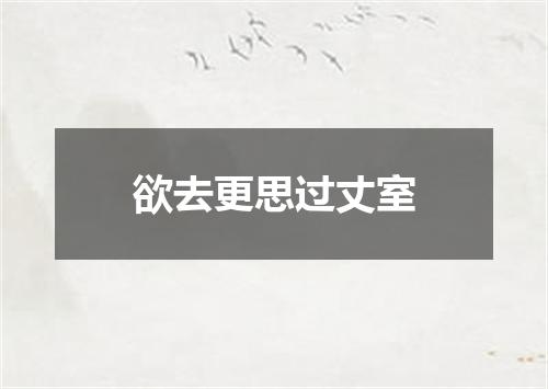 欲去更思过丈室