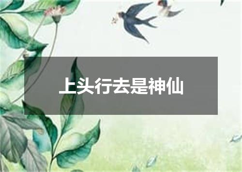 上头行去是神仙