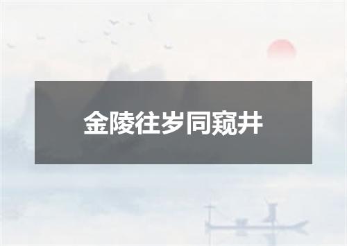 金陵往岁同窥井