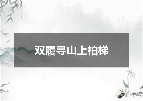 双履寻山上柏梯