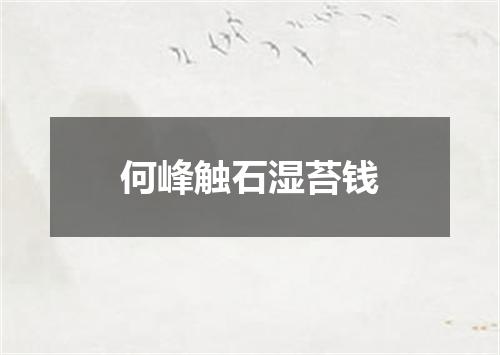 何峰触石湿苔钱