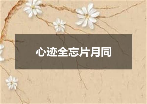 心迹全忘片月同