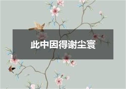 此中因得谢尘寰