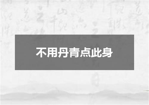 不用丹青点此身