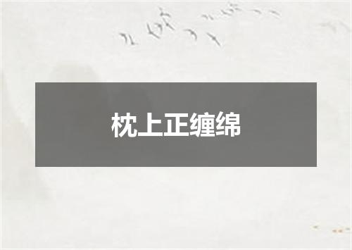 枕上正缠绵