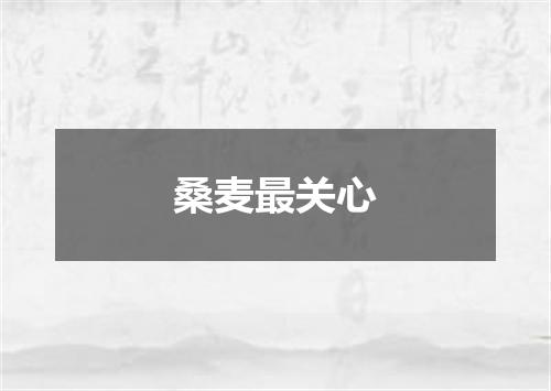 桑麦最关心