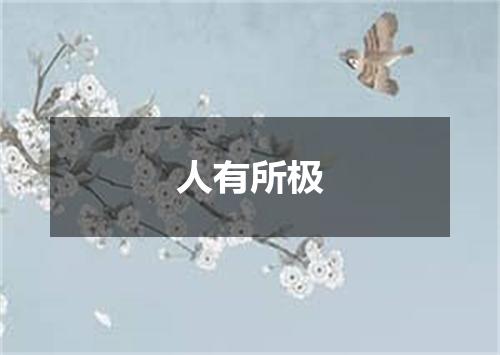 人有所极