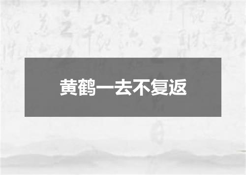 黄鹤一去不复返