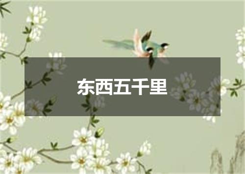东西五千里