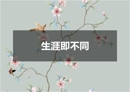 生涯即不同