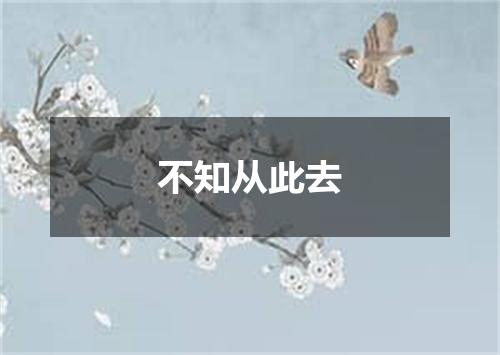 不知从此去