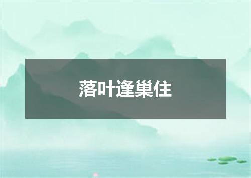 落叶逢巢住