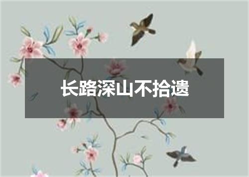 长路深山不拾遗