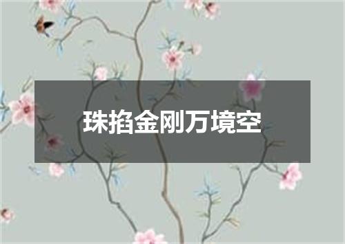 珠掐金刚万境空
