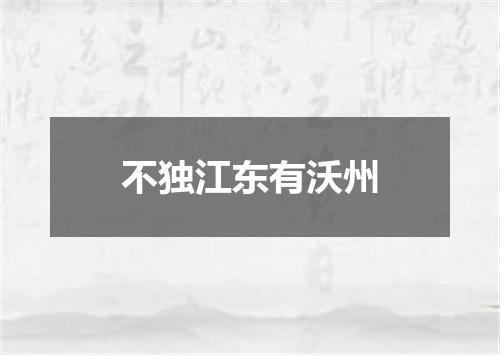 不独江东有沃州