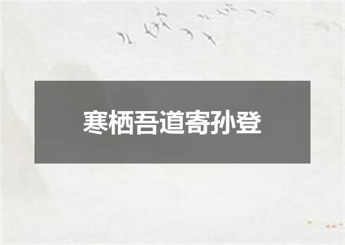 寒栖吾道寄孙登