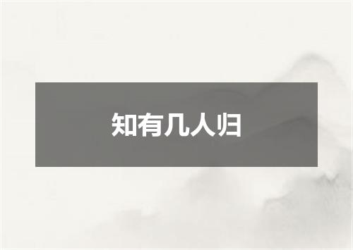 知有几人归
