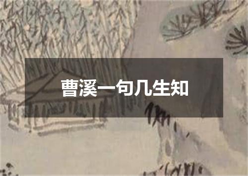 曹溪一句几生知