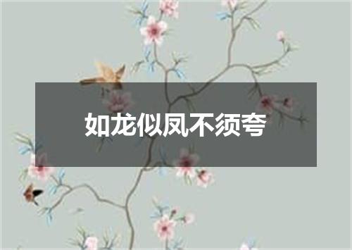 如龙似凤不须夸