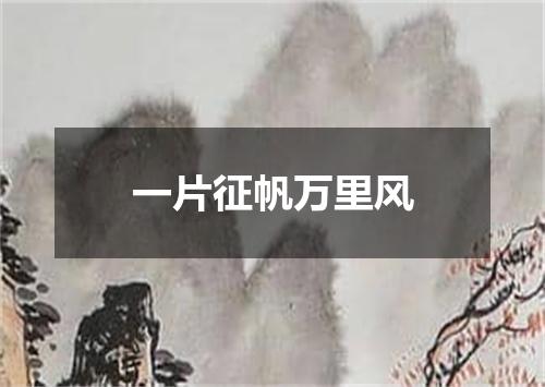 一片征帆万里风
