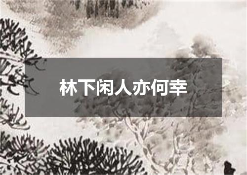 林下闲人亦何幸