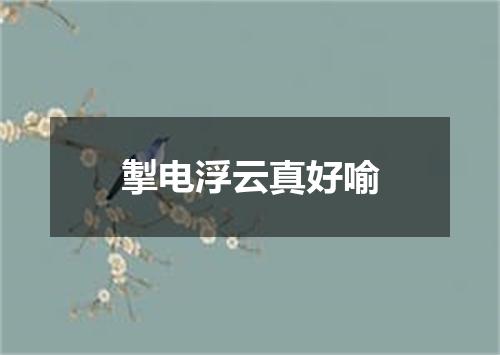 掣电浮云真好喻