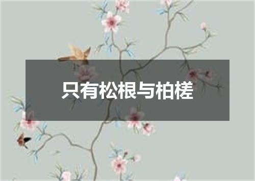 只有松根与柏槎